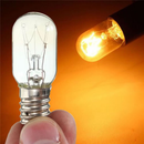 10 Pack | Globe 240V E14 CLEAR 15 Watts - Tavice