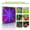 2000W 225 LED Grow Light Hydroponic Kits Growing Lamp Plant Flower Veg Indoor - Tavice