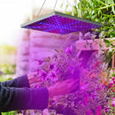 2000W 225 LED Grow Light Hydroponic Kits Growing Lamp Plant Flower Veg Indoor - Tavice