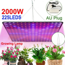 2000W 225 LED Grow Light Hydroponic Kits Growing Lamp Plant Flower Veg Indoor - Tavice