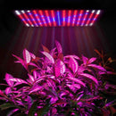 2000W 225 LED Grow Light Hydroponic Kits Growing Lamp Plant Flower Veg Indoor - Tavice