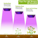 2000W 225 LED Grow Light Hydroponic Kits Growing Lamp Plant Flower Veg Indoor - Tavice