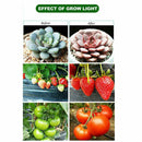 2000W 225 LED Grow Light Hydroponic Kits Growing Lamp Plant Flower Veg Indoor - Tavice