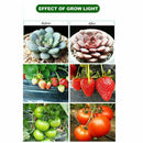 2000W 225 LED Grow Light Hydroponic Kits Growing Lamp Plant Flower Veg Indoor - Battery Mate