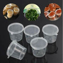25ml | 250x Take Away Containers Takeaway Food Plastic Lids Bulk - Tavice