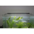 Full Spectrum Aquarium LED Light Lighting Aqua Plant Fish Tank Lamp 60cm - Tavice