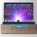 Karaoke Soundbar Bluetooth Speaker Subwoofer Surround w/ 2 Wireless Microphones - Tavice