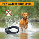 Training Electric Dog Pet E-Collar Obedience Remote Control Anti Bark-Shock - Tavice