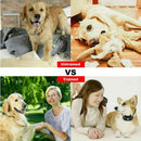 Training Electric Dog Pet E-Collar Obedience Remote Control Anti Bark-Shock - Tavice