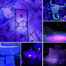 UV Ultra Violet LED Flashlight Blacklight Light 395nM Inspection Lamp Torch Mini - Tavice