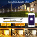WIFI Smart LED Flood Light RGB Outdoor Spotlight Wall Street Lamp 100W - Tavice